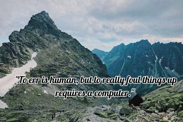 "To err is human, but to really foul things up requires a computer." 