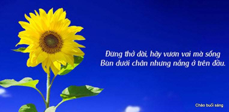 hinh anh chao ngay moi y nghia va hai huoc 1457be69a705662